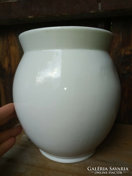 Porcelain vase with a bay