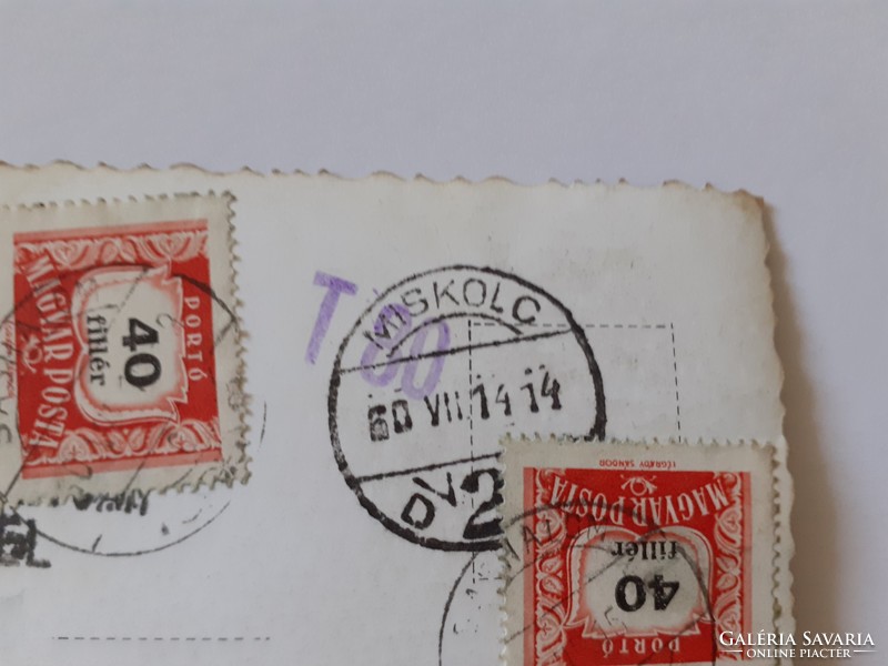 Régi képeslap 1960 Fehérkőlápai Turistaház fotó levelezőlap
