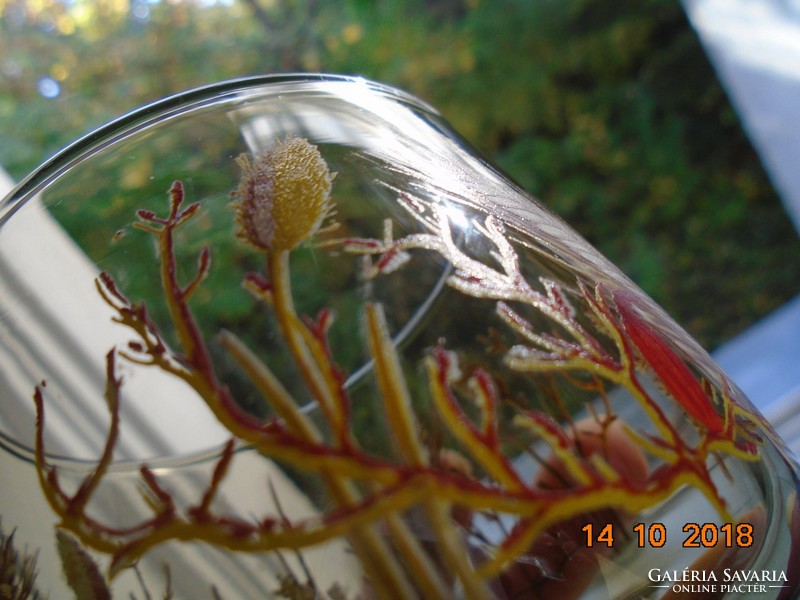 Vintage őszi hangulatú növényi mintával festett francia füstszínú poharak 4 db
