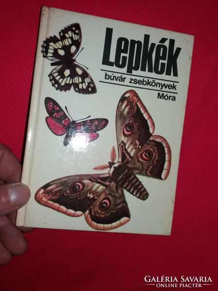 1992 Kalmár-Csépe: Lepkék (Búvár zsebkönyvek) – Móra Ferenc Könyvkiadó könyv képek szerint