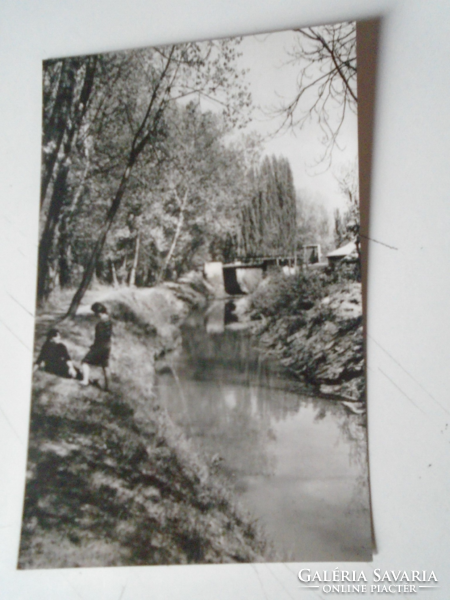 D191167 old postcard - South Transdanubian landscape 1963