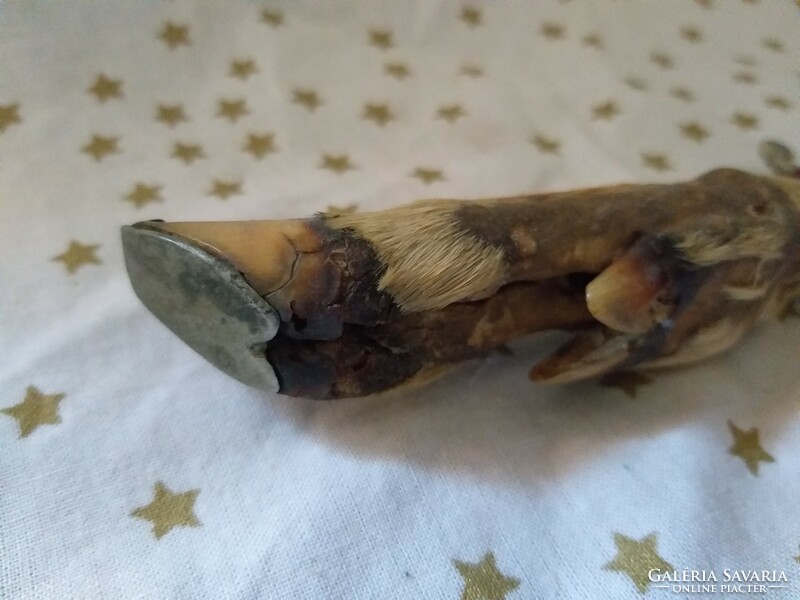 Antik őzláb markolatos vadászkés kés tőr