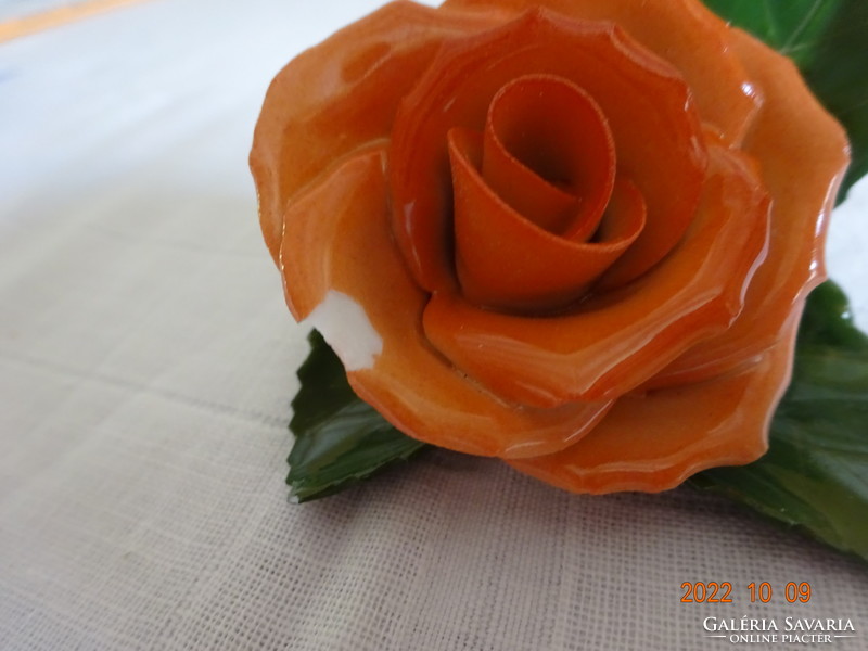 Herendi rose 8x8 cm