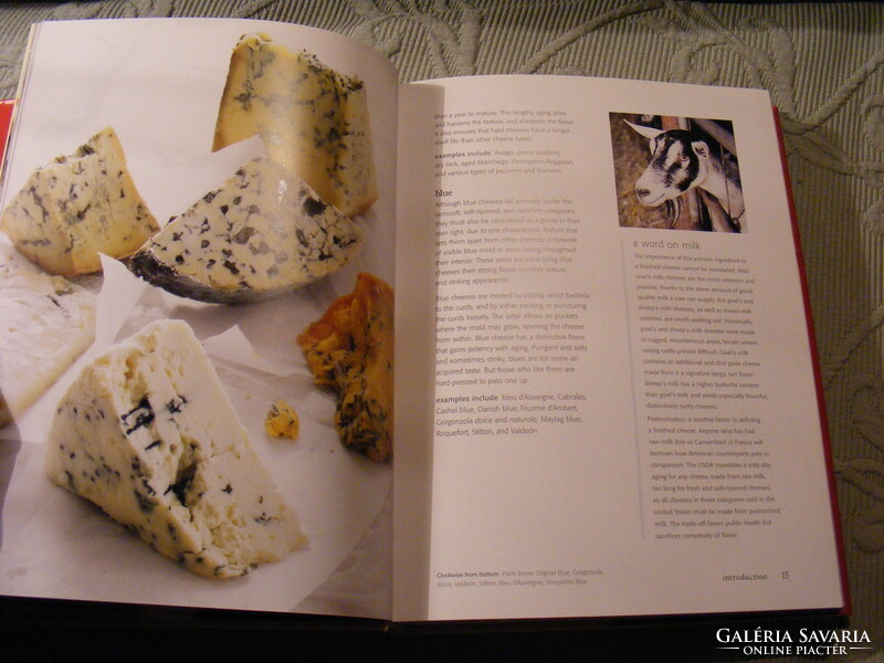 Williams-sonoma: cheese - cookbook in English - a guide to cooking with cheese