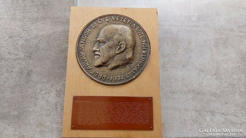 (K) prof. Sándor Árvay (Debrecen clinic, dote) bronze plaque, souvenir rarity