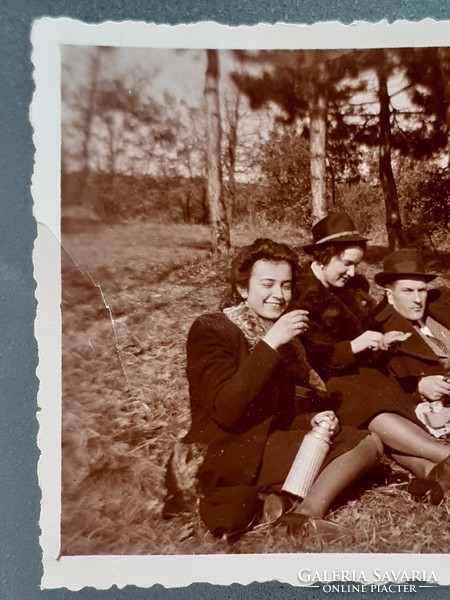 Régi fotó vintage fénykép csoportkép erdei piknik