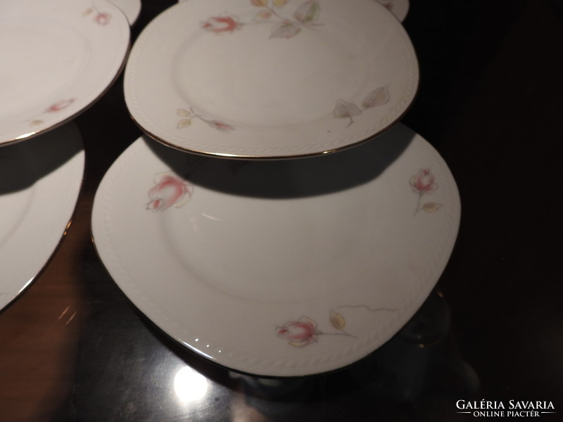 Set of 6 German plates with a rose pattern