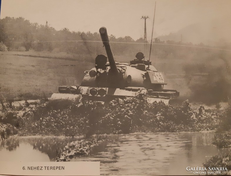 Pajzs '79 military exercise photos