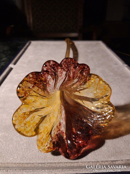 Amber colored blown glass flower home decor