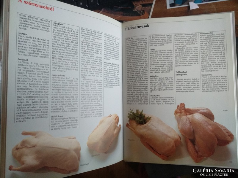 Nova szakácskönyvek: Szárnyasok, 30 éves!, Alkudható!
