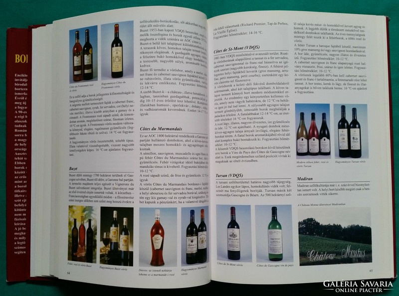 Christian Callec: Borenciklopédia > Növénytermesztés > Szőlészet, borászat > Borkészítés