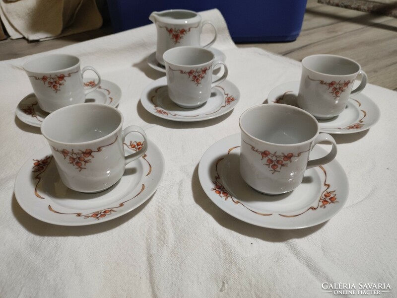 Alföldi porcelain rosehip coffee cups + coaster + 1 milk spout.