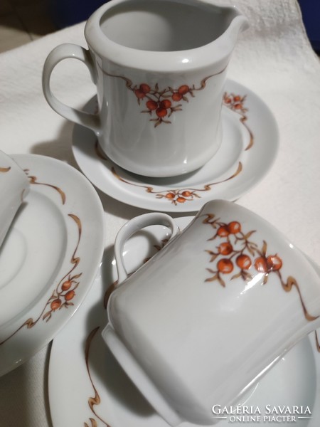 Alföldi porcelain rosehip coffee cups + coaster + 1 milk spout.