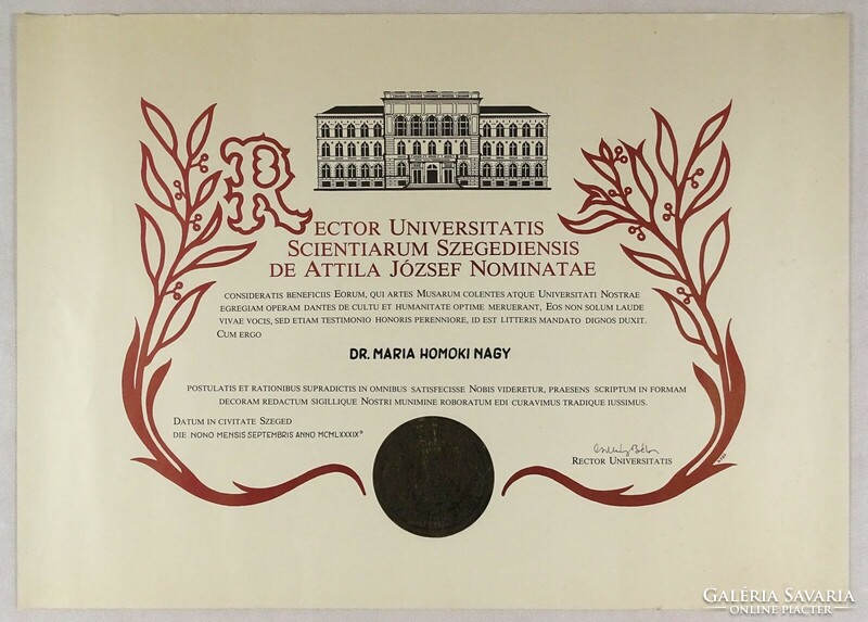 1L373 József Attila Tudományegyetem Szeged diploma 1989