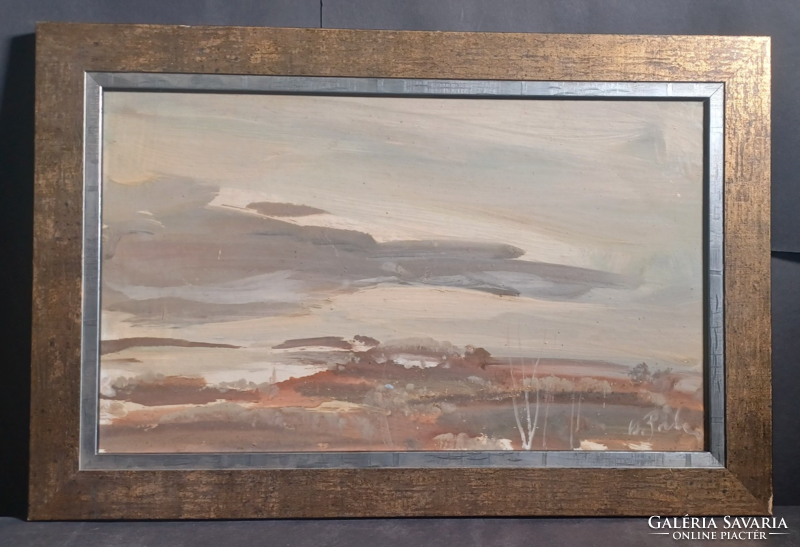 Cs. Mihály Pataj: foggy landscape - oil painting marked (with frame 47x31cm)