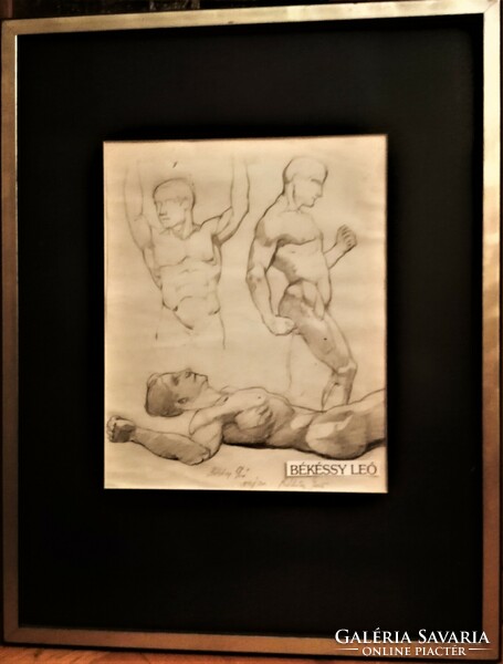 Anatomical study drawing by leó Békéssy