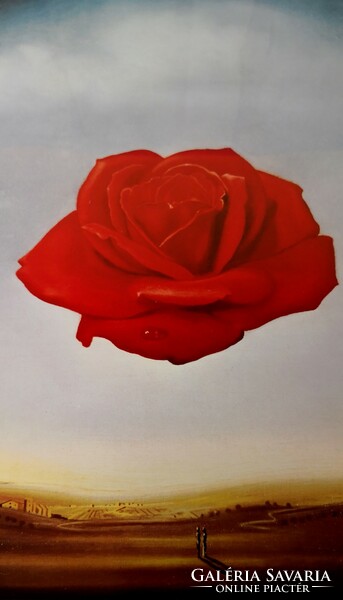 Fk/263 - salvador dali - meditative rose - color lithograph