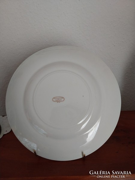 English porcelain plate