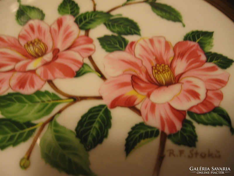 Botanikás fali tányér, Camellia jap. tricolor, by R F Stokü Winterling Kirchenlamitz