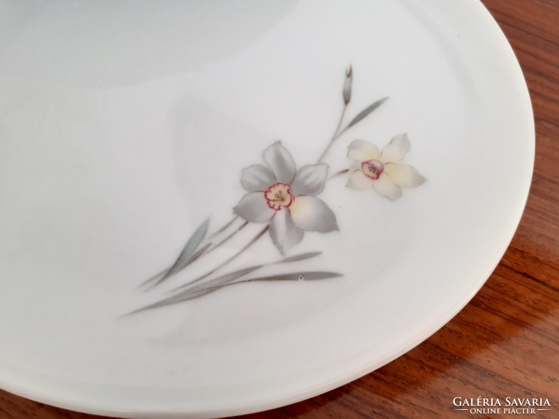 Régi Bavaria porcelán kis tányér nárcisz mintás desszertes 5 db