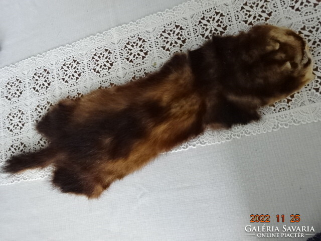 Real animal hair, length 62 cm. He has!