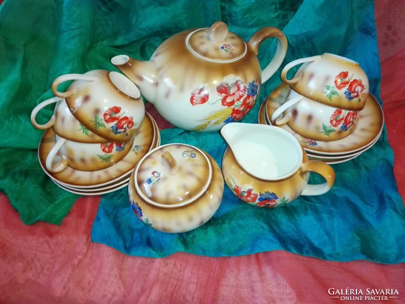 Antique rare poppy porcelain tea coffee set.