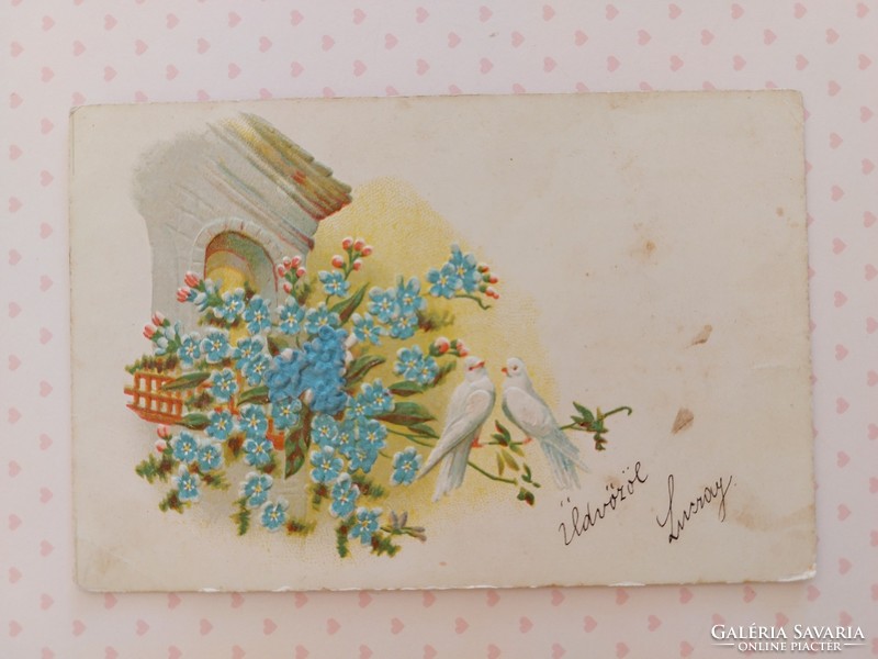 Régi dombornyomott képeslap levelezőlap fehér galamb nefelejcs