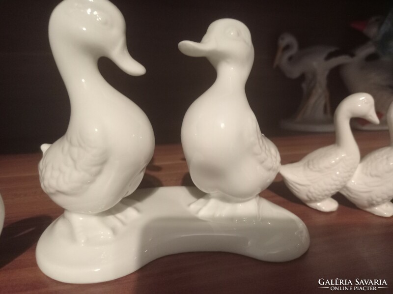 Hófehér porcelán kacsa figura gyűjtemény