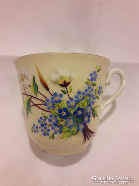 Antique museum bieder hand-painted tea coffee pouring pot cup gilded forget-me-not and flower b