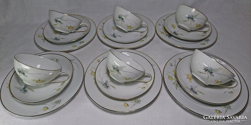 Hutschonreuther Selb old German beautiful flower pattern 6-person thin porcelain tea set 18 pieces