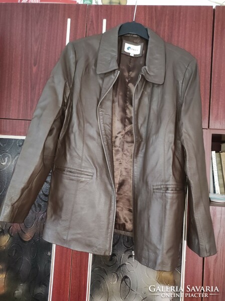 Women's Transitional Leather Jacket (XL)