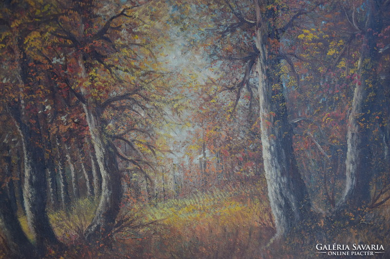 Gyönyörű festmény erdős táj impozáns bárhová kellemes hangulatú