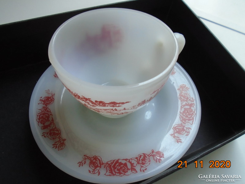 Set of circular panoramic pattern on the cup, floral pattern on the saucer, glass porcelain set