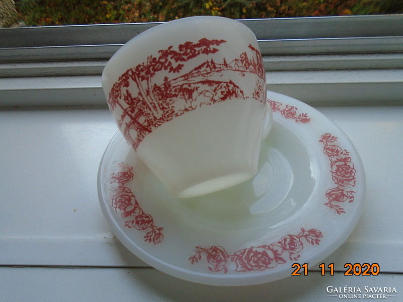 Set of circular panoramic pattern on the cup, floral pattern on the saucer, glass porcelain set