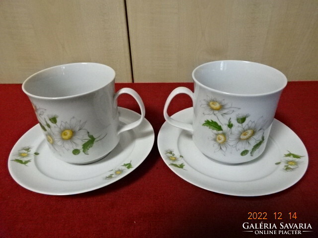 Alföldi porcelain cup with coaster, daisy pattern, two pieces in one. He has! Jokai.