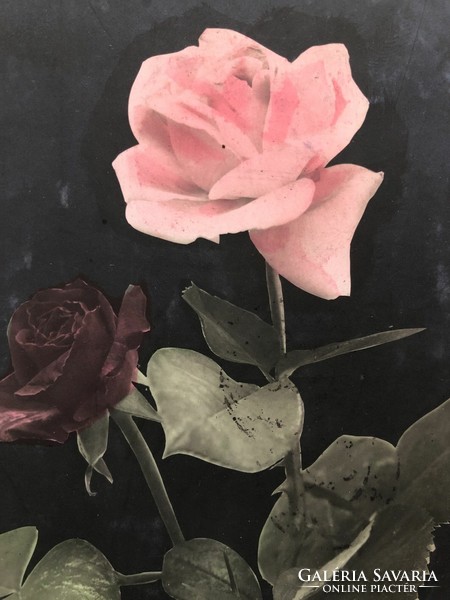 Antik, régi Rózsa virágos képeslap                                         -2.