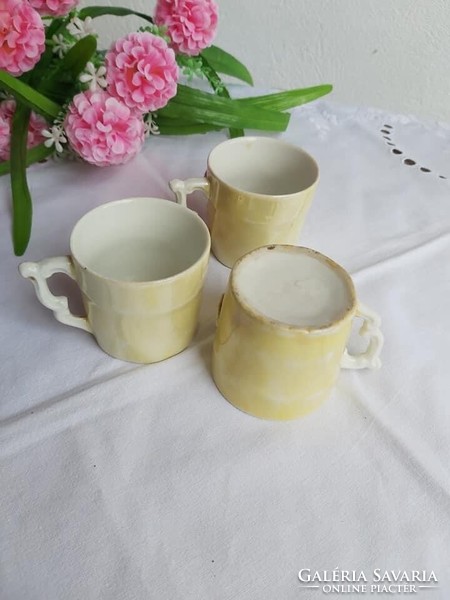 Beautiful art nouveau mugs mugs with yellow flowers 3 pcs collector's beauties