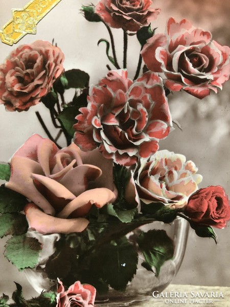 Antik, régi színezett Rózsa virágos képeslap              -2.