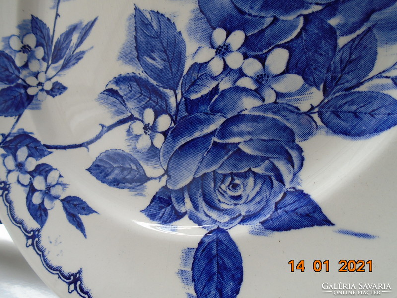 Látványos kék rózsás "Victoria" mintás tál ,Broadhurst Stafordshire tányér