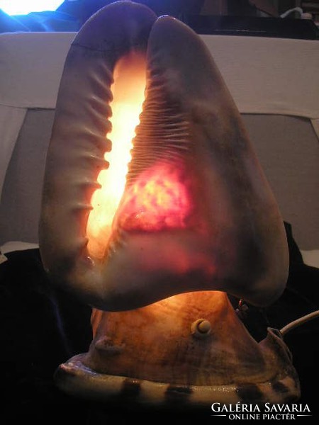 N15 romantic lamp made of deep sea shells 28 cm wonderful colors approx. 2 kg huge rarity