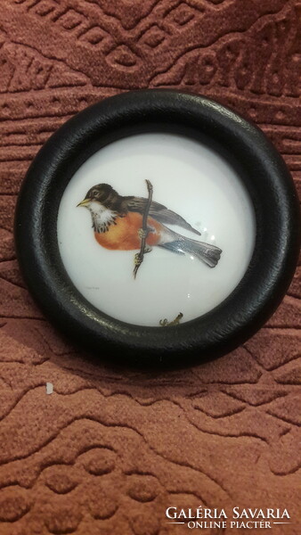 Old bird miniature picture, porcelain picture (l3239)