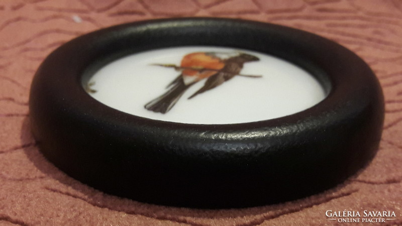 Régi madaras miniatűr kép, porcelán kép (L3239)