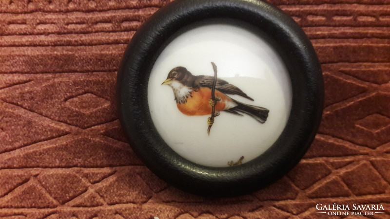 Régi madaras miniatűr kép, porcelán kép (L3239)