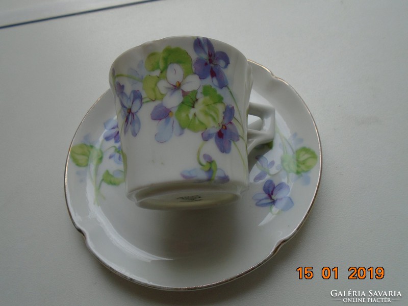 Imperial imperial psl (pfeiffer & lowenstein) violet coffee cup with saucer from the apple series
