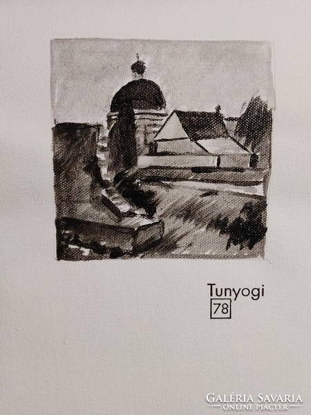 Gábor Tunyogi: houses painting