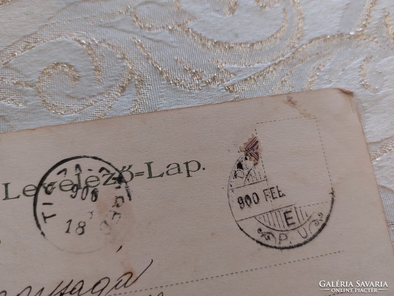 Régi képeslap 1900 levelezőlap fehér galamb nefelejcs
