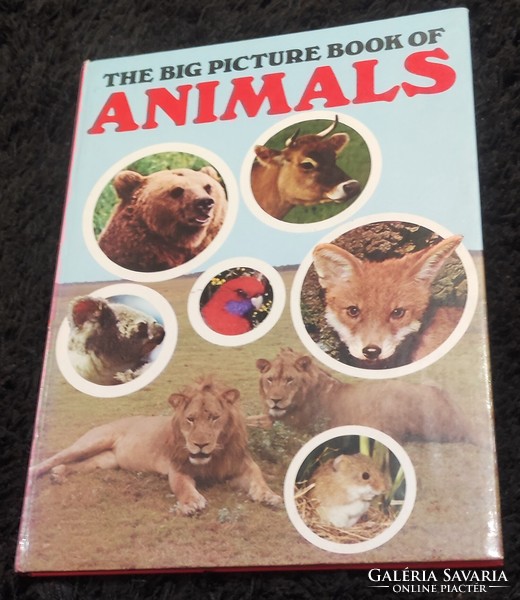 The Big Picture Book of Animals Az állatok nagy képeskönyve