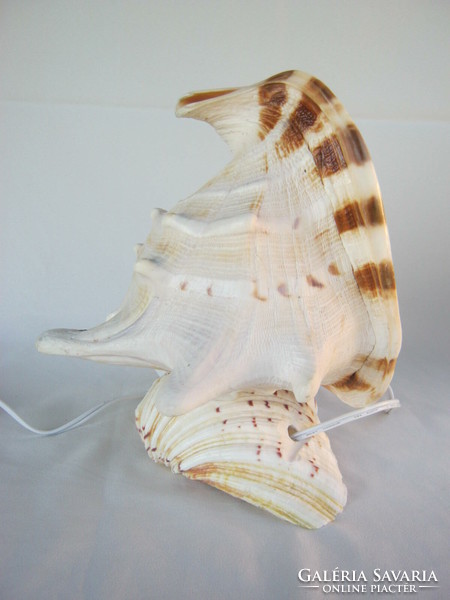 Tengeri kagyló lámpa nagy méretű 24 cm