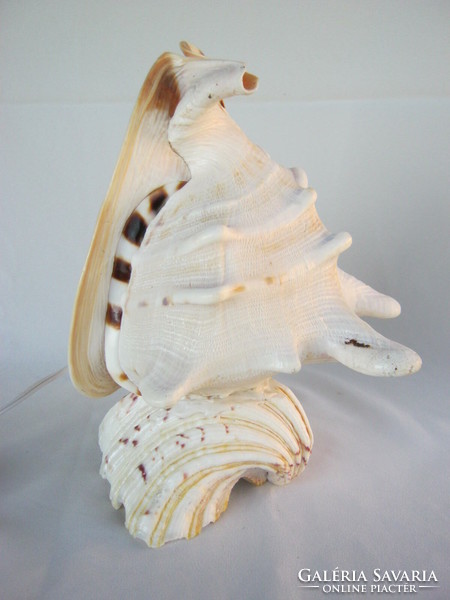 Sea shell lamp large size 24 cm