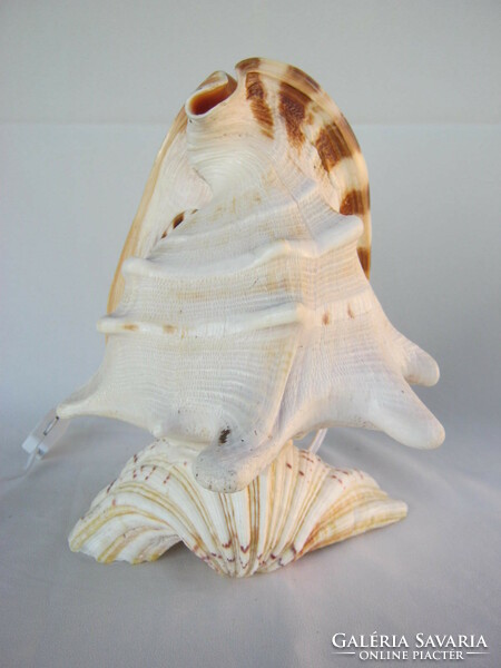 Sea shell lamp large size 24 cm